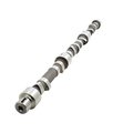 Aftermarket Camshaft A-31416307-AI